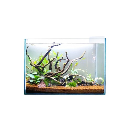 Swell glass aquarium 30cm - swell, –