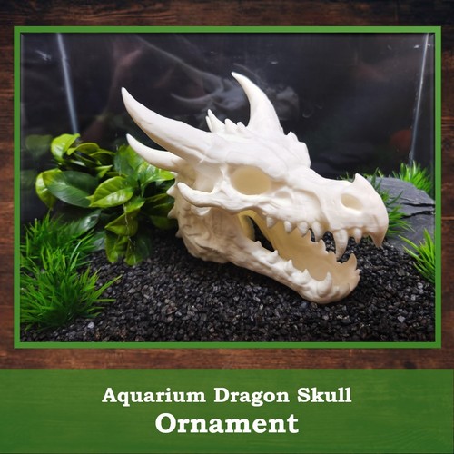 Dragon skull aquarium ornament - dragon,