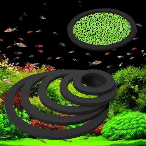 5pcs aquarium floating - 5pcs,