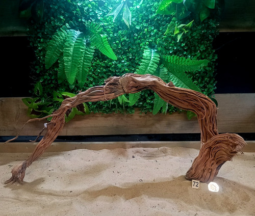Twisted vine branch - twisted,