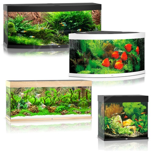 Juwel led aquariums rio - aquariums,