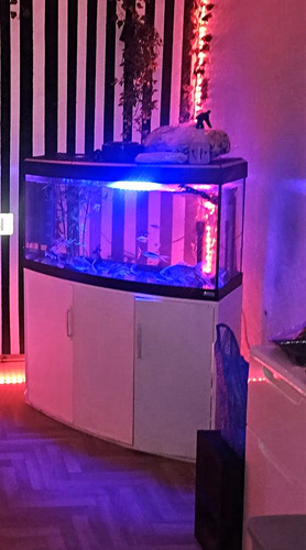 Fish tank cabinet - 92, w
