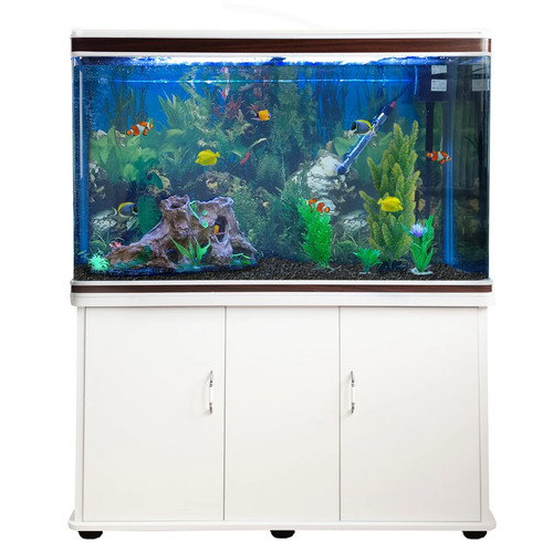 4ft fish tank aquarium - fish,