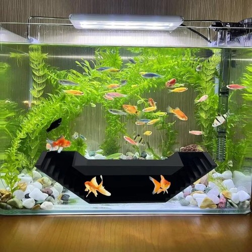 Aquarium fish tanks shrimp - aquarium,