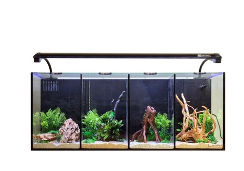 Aqua one betta quad glass - aqua,