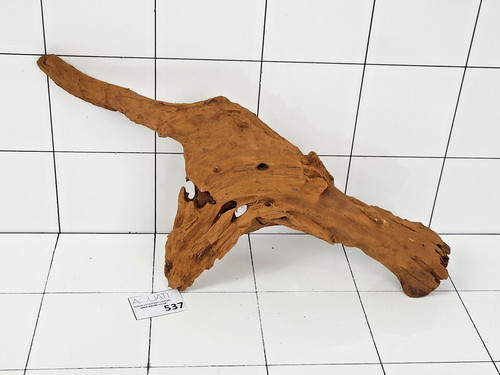 Aquarium natural mangrove wood - natural,