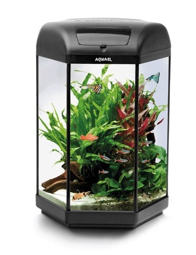 Aquael hexa 60l - 60l, tropical