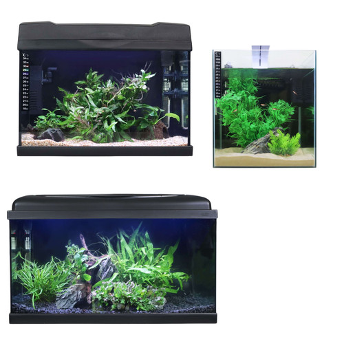Swell led complete - swell, aquarium