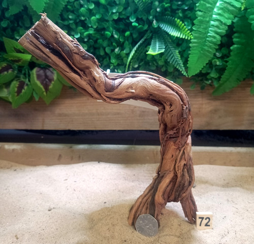 Twisted vine branch individual - branch,