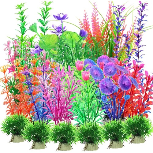 Assorted aquatic plants - assorted,