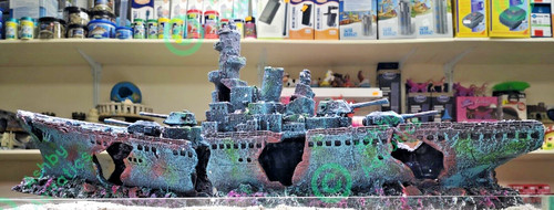 73cm piece shipwreck - ,