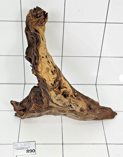Premium aquarium natural - aquarium,