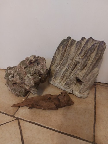 Bog wood rock - &,