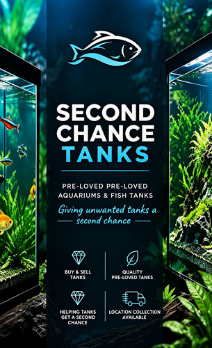 Second chance tanks - tanks, we