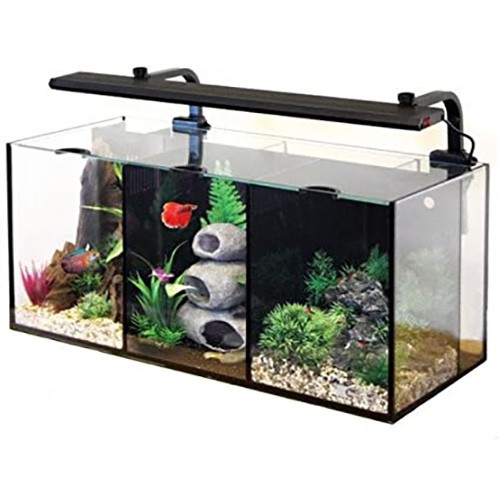 Aqua one betta trio glass - aqua,