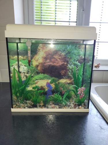 Litre fishtank white - 18,