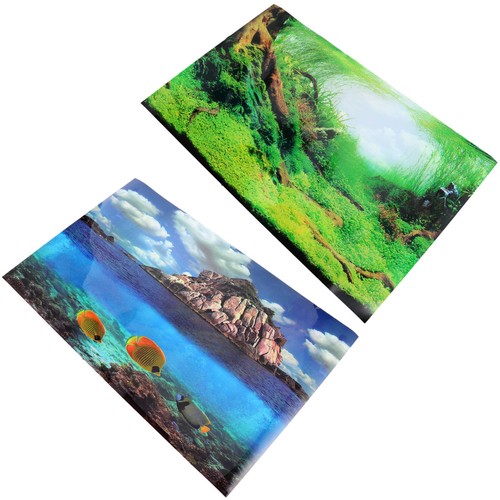 Aquarium backdrop decoration - aquarium,