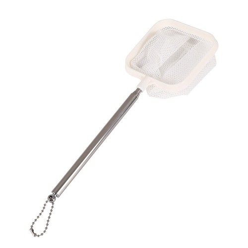 Telescopic shrimp net - telescopic,