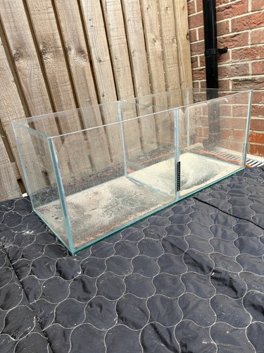 Dual fish tank - fish, aquarium