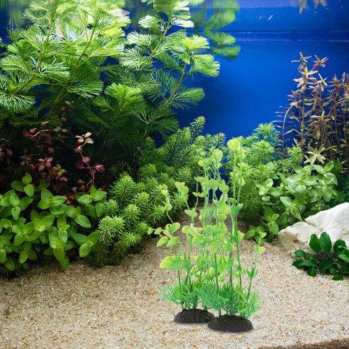 Reusable aquarium plastic - aquarium,