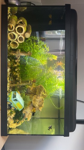 54l aquarium swell - aquarium, tank