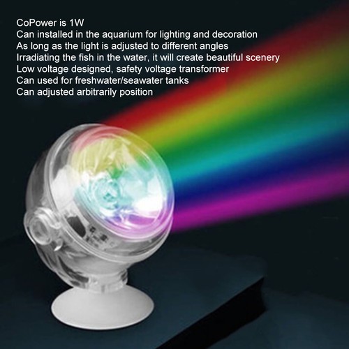 Plastic led fish tanks - fish,